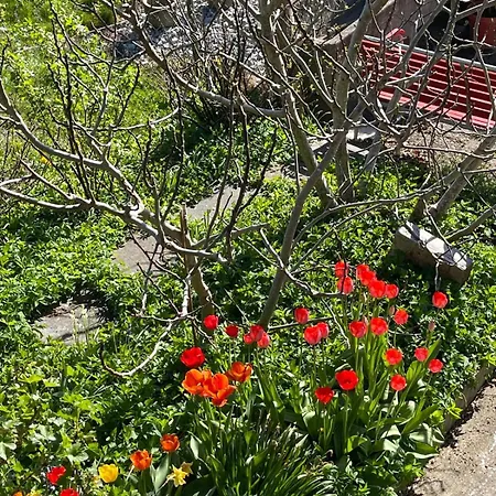 Mon Bijou Au * Thun